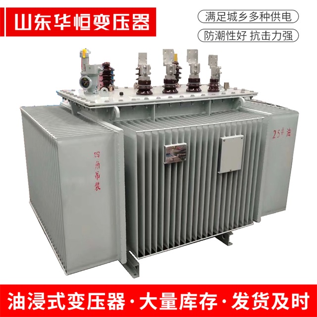 S13-10000/35白银白银白银电力变压器厂家