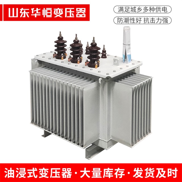 S13-10000/35白银白银白银油浸式变压器厂家